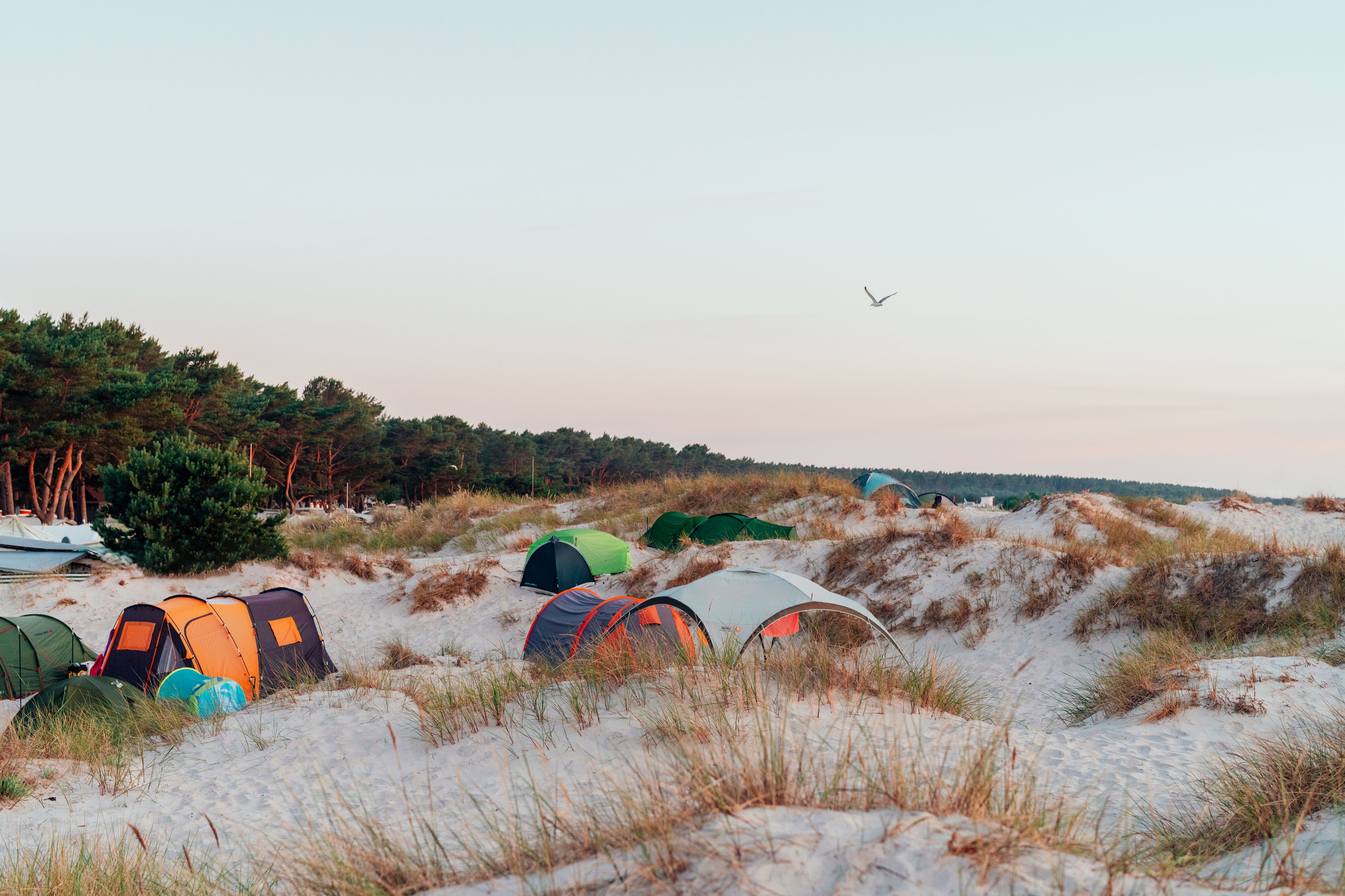 Campingpltze an Ostsee und Seenplatte