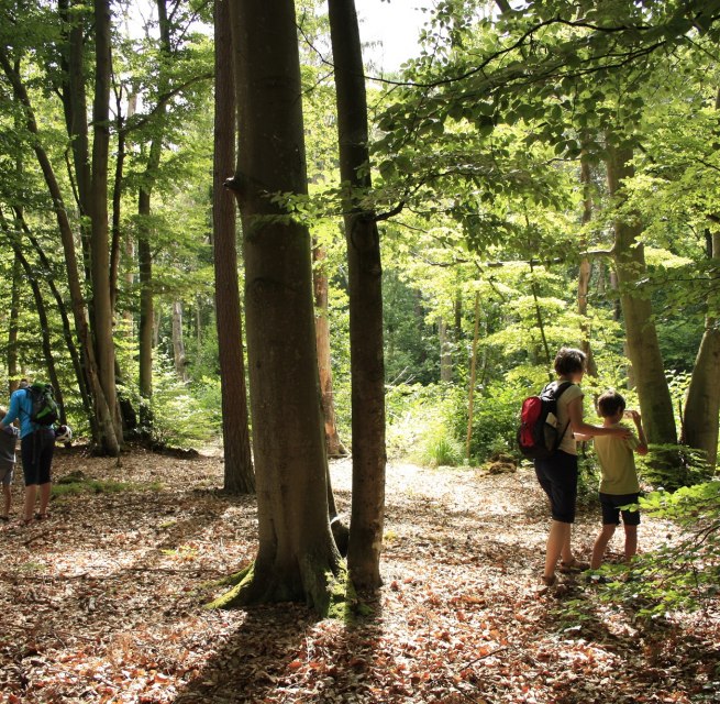 © Nationalparkamt Vorpommern © Nationalparkamt Vorpommern