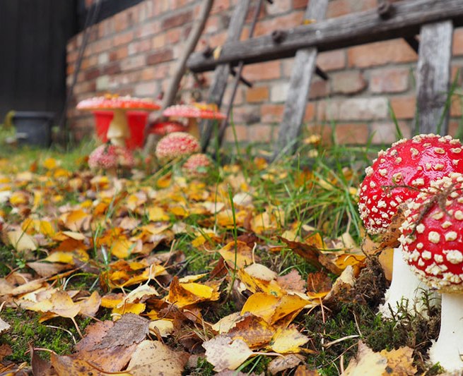 &copy; Freilichtmuseum Klockenhagen