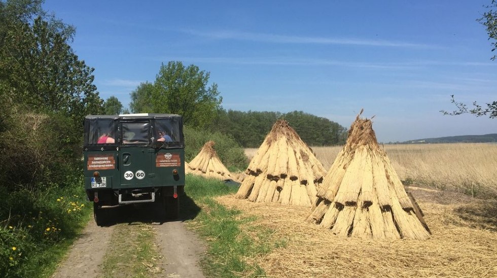Vorbei an Rohrmieten für neue Dächer // © Volker Barthmann Vorbei an Rohrmieten für neue Dächer // © Volker Barthmann