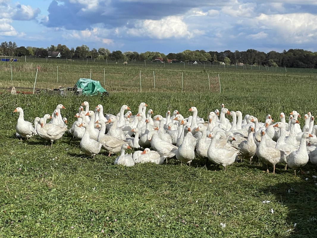 &copy; TZ S&uuml;dliche Boddenk&uuml;ste