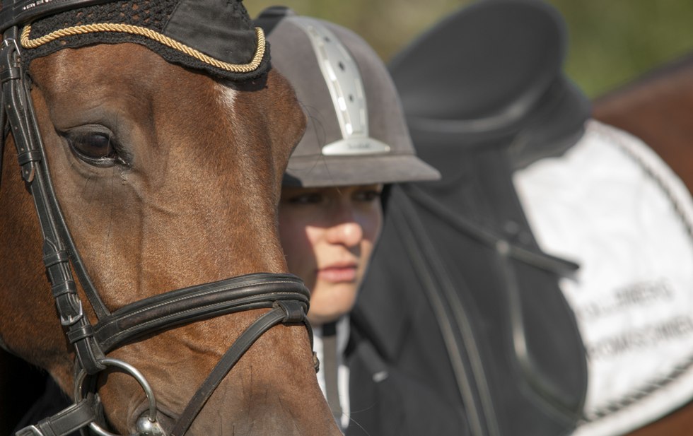 Bei Reitkursen in Mecklenburg-Vorpommern k&ouml;nnen ebenfalls Motivationsabzeichen und Abzeichenpr&uuml;fungen in unterschiedlichen Klassen und Reitweisen abgelegt werden // &copy; MV-T/ Hafemann