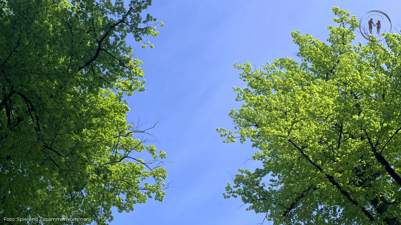 Himmel von Schwerin // &copy; Christina M&uuml;nster