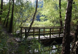 Het is moeilijk voor te stellen dat dit 50 jaar geleden een bijna vegetatieloos kraterlandschap was. // &copy; Gabriele Skorupski
