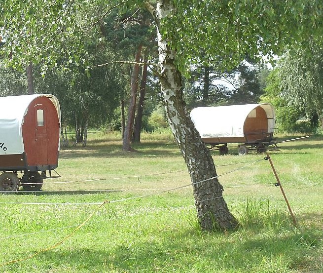 Wagenburg // &copy; Planwagencamping/K&ouml;ster