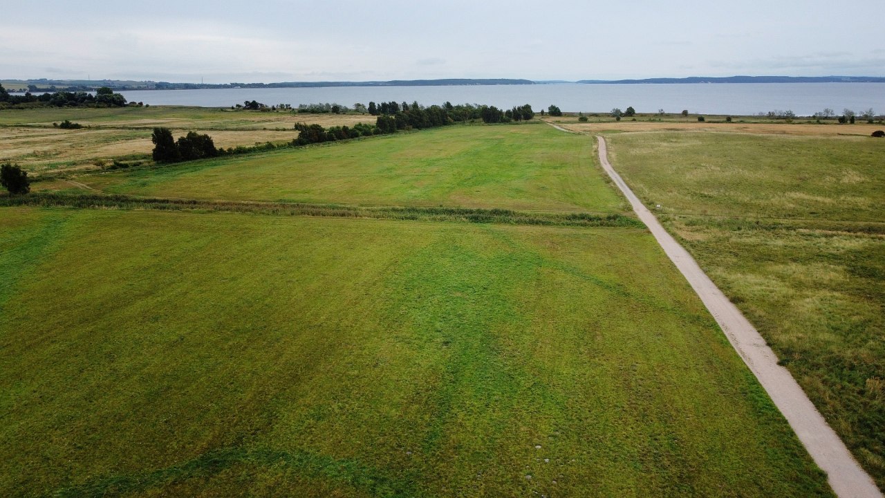 Blick vom Klimawald in Richtung Ostsee // © Landesforst MV Blick vom Klimawald in Richtung Ostsee // © Landesforst MV