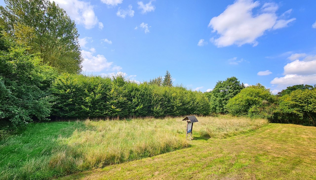 20240819_135805, © Landesforst MV 20240819_135805, © Landesforst MV