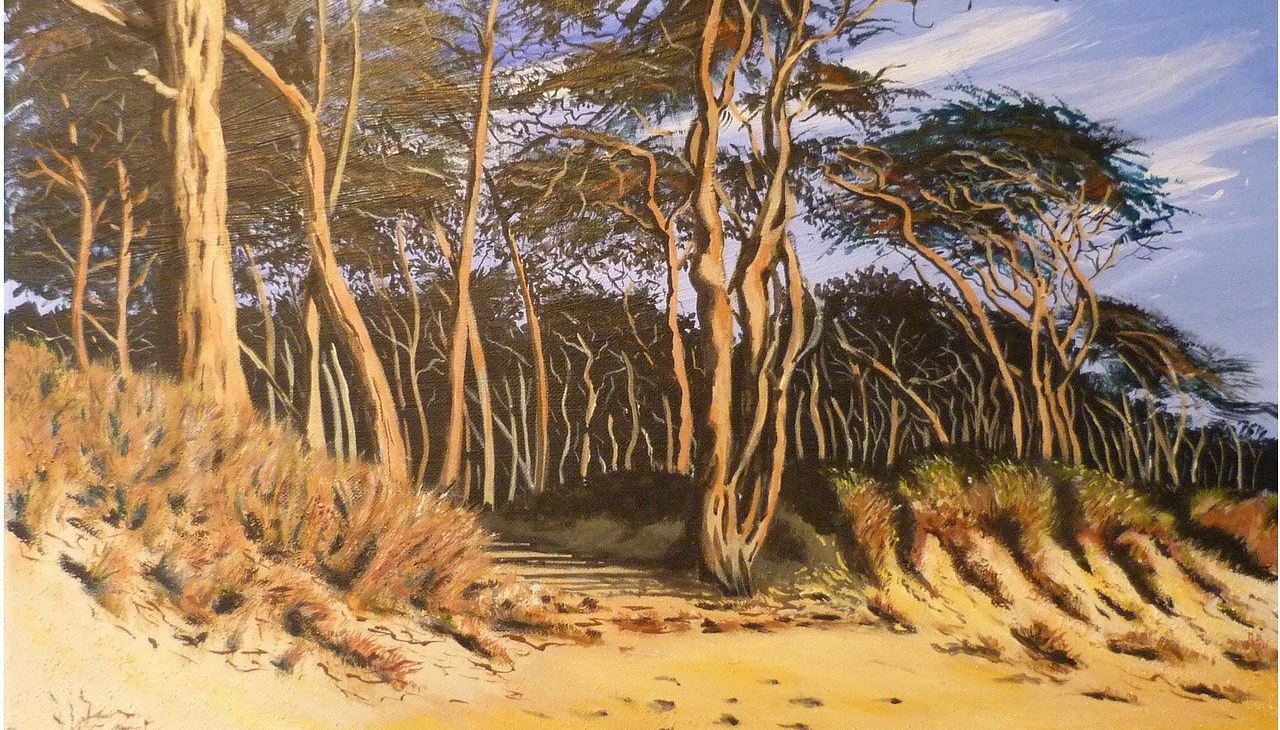 Wald_und_Meer, &copy; -