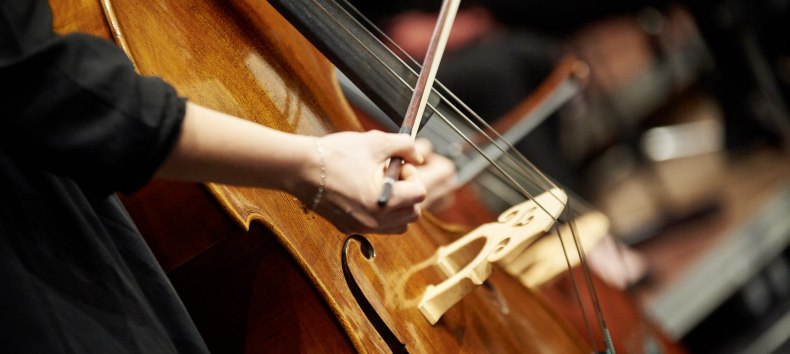 &copy; Mirco Dalchow