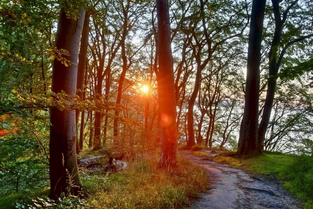 Literarischer Spaziergang (c) Kurverwaltung Goehren Martin Stoever_07-2019_P5I1472_71_70_69_68_HDR projects-2, &copy; Kurverwaltung Goehren / Martin Stoever