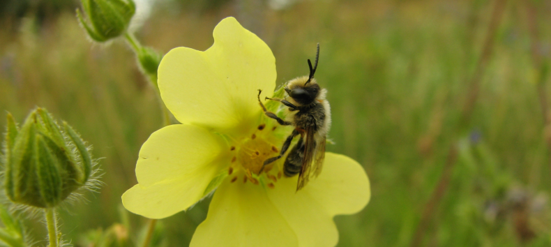 &copy; Gordon K&auml;belmann