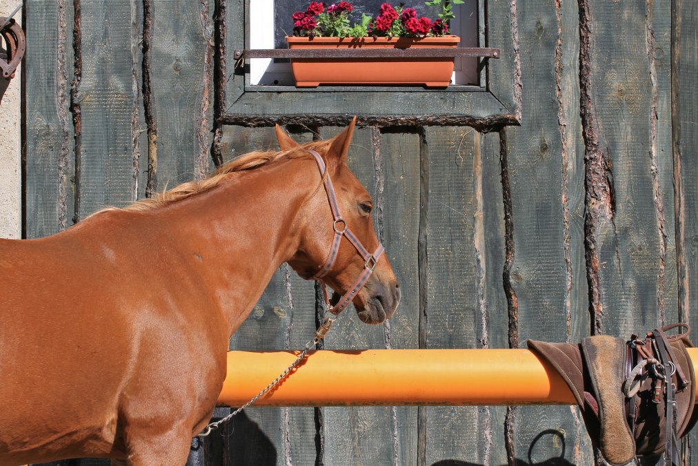 Framika-Ranch, &copy; Dirk Sandner