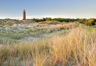 Der markante Darßer Leuchtturm ragt aus der Dünenlandschaft bei Prerow empor. Goldenes Dünengras wiegt sich im Wind, während der rote Turm den Blick über die weite Küstenlandschaft der Ostsee lenkt – ein Wahrzeichen zum Entdecken auf dem Darß. // © Francesco Carovillano Der markante Darßer Leuchtturm ragt aus der Dünenlandschaft bei Prerow empor. Goldenes Dünengras wiegt sich im Wind, während der rote Turm den Blick über die weite Küstenlandschaft der Ostsee lenkt – ein Wahrzeichen zum Entdecken auf dem Darß. // © Francesco Carovillano