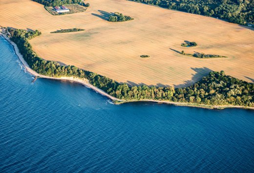 Luftaufnahme der Steilk&uuml;ste R&uuml;gens bei Glowe zeigt den Kontrast zwischen goldenen Feldern und t&uuml;rkisblauem Meer, umgeben von gr&uuml;nen W&auml;ldern.