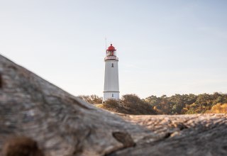 © Weiße Flotte GmbH © Weiße Flotte GmbH