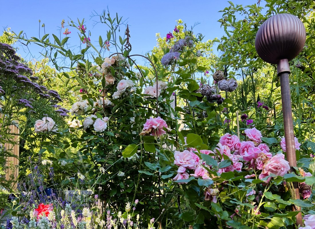 Prive tuin // &copy; Steffi Karls