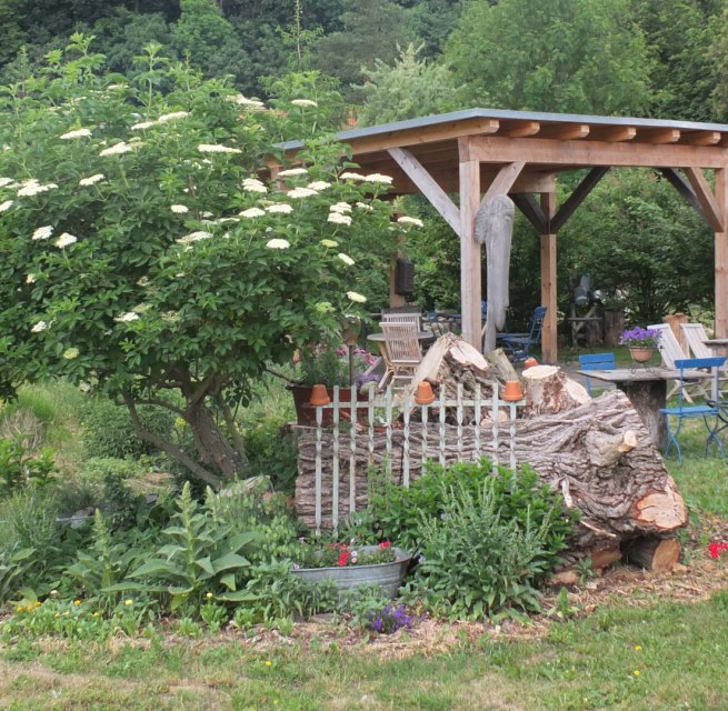 Kr&auml;uternaturgarten, &copy; Kr&auml;uterhof Carlsthal