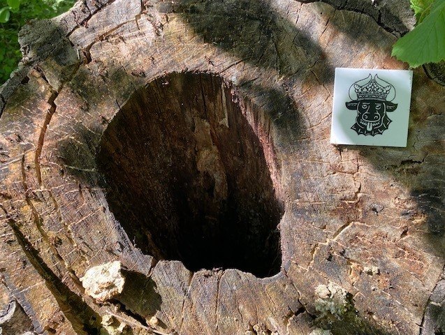 Bürgermeisterrundweg, © Foto: Touristinformationen Wesenberg & Mirow, Mecklenburgische Kleinseenplatte Bürgermeisterrundweg, © Foto: Touristinformationen Wesenberg & Mirow, Mecklenburgische Kleinseenplatte