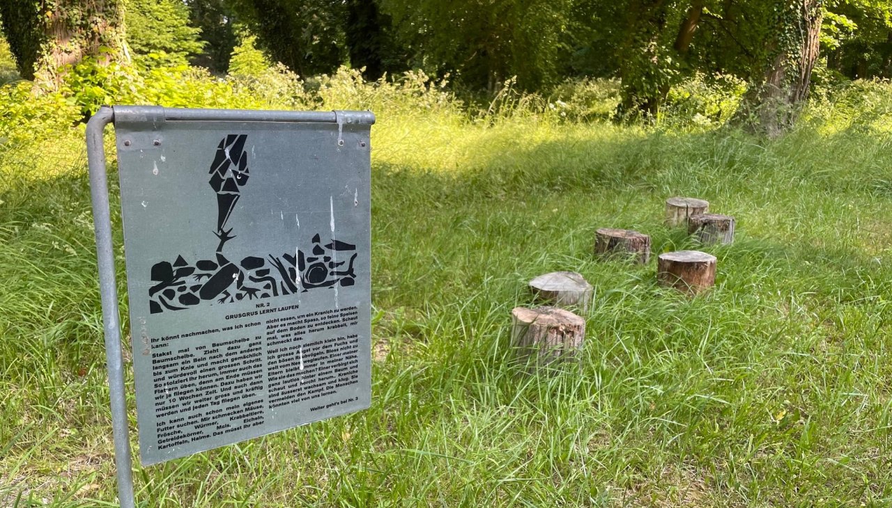 Station Kranich Pfad 2, © TZ Südliche Boddenküste Station Kranich Pfad 2, © TZ Südliche Boddenküste