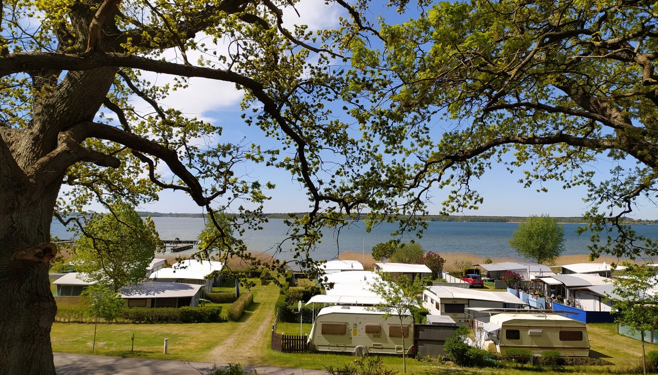 Inselcamping Werder, &copy; TMV/T.Sievert