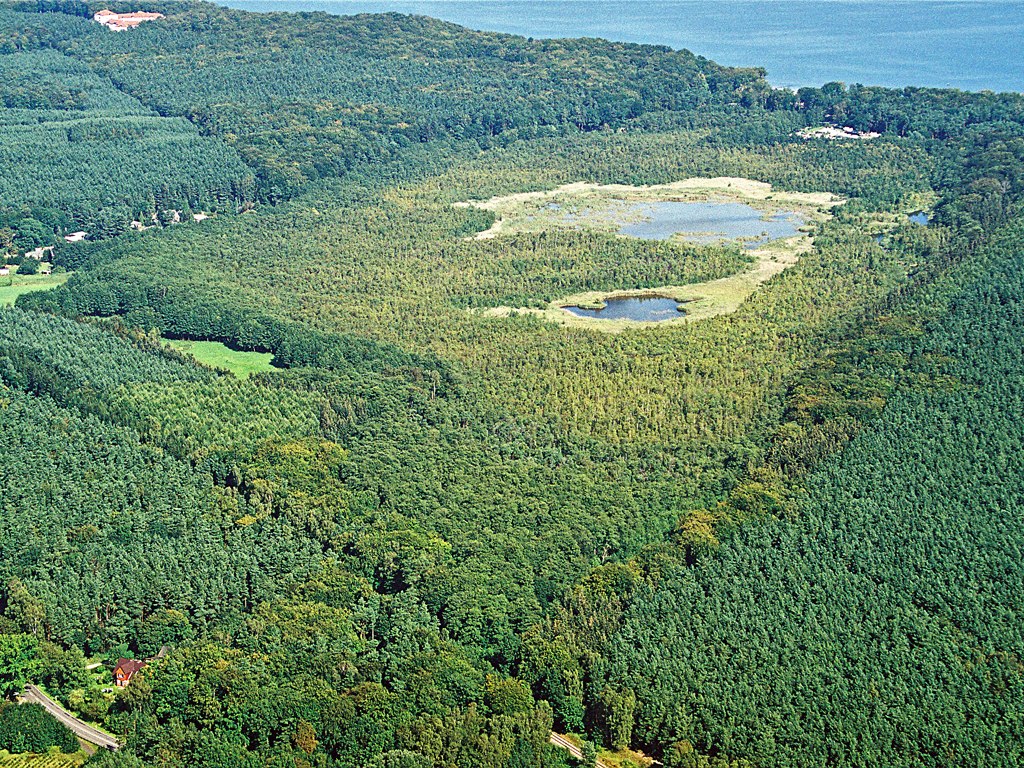 Naturschutzgebiet Wockninsee // © Fotoarchiv Naturpark Insel Usedom Naturschutzgebiet Wockninsee // © Fotoarchiv Naturpark Insel Usedom