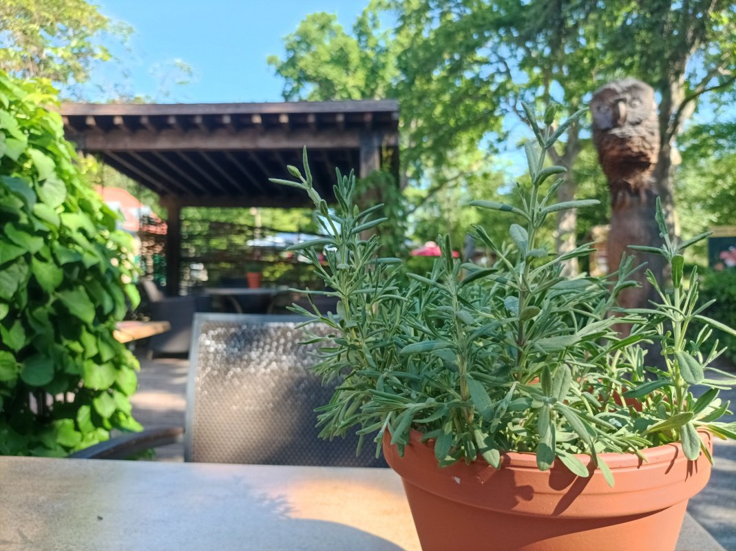 Terrasse // &copy; Schl&ouml;sschen Sundische Wiese