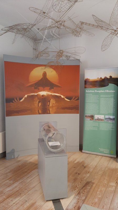 interaktive Ausstellung // © Biosphaerium Elbtalaue interaktive Ausstellung // © Biosphaerium Elbtalaue
