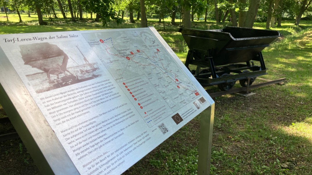 Torflore in Bad Sülze, © M. Hagemann
