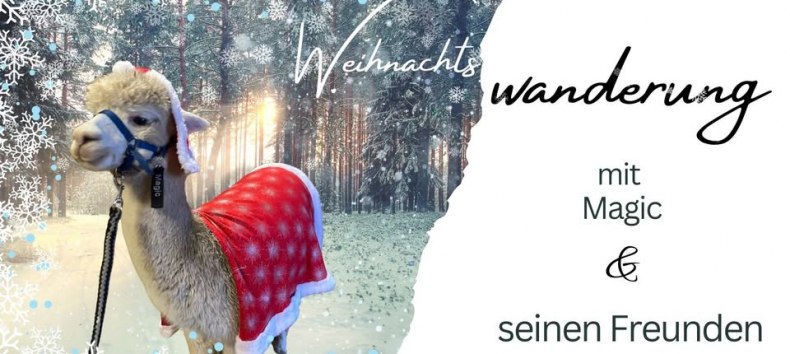 © Hof Birkenkamp © Hof Birkenkamp