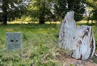 &copy; TZ S&uuml;dliche Boddenk&uuml;ste