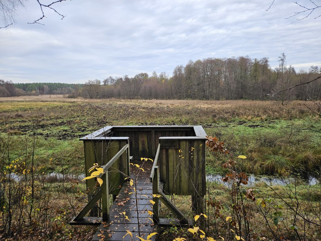 &copy; NPA M&uuml;ritz