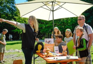 © Nationalpark-Zentrum KÖNIGSSTUHL © Nationalpark-Zentrum KÖNIGSSTUHL