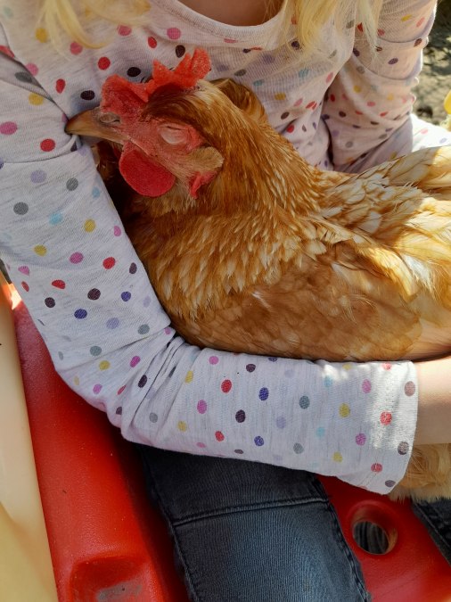 Erleben Sie den Kontakt zu unseren sehr menschenbezogenen tierischen MitbewohnerInnen., © Andrea Hauser Erleben Sie den Kontakt zu unseren sehr menschenbezogenen tierischen MitbewohnerInnen., © Andrea Hauser