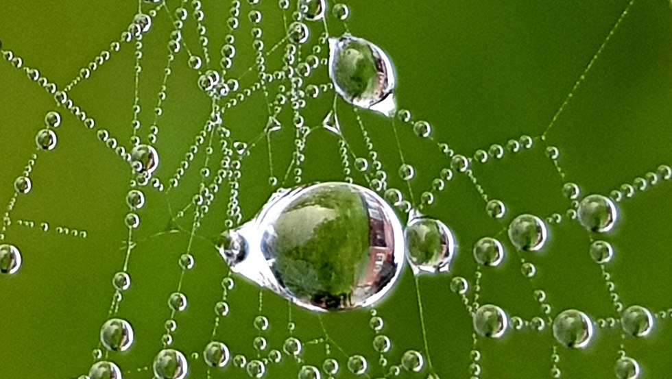 &copy; Ursula Beller-Wolter