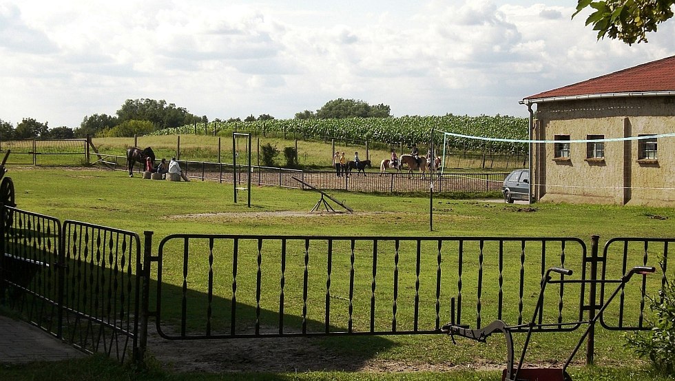 Paardrijlessen op vakantieboerderij Botschatzke, &copy; Ferienhof Botschatzke