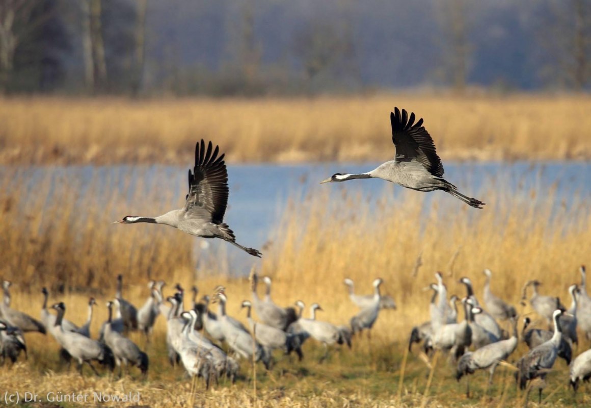 Bodden tour met de Zingst rederij // &copy; S&uuml;dliche Boddenk&uuml;ste