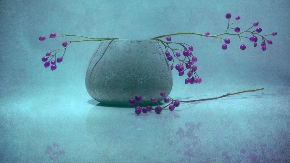 Blue Berry // © Claudia Drossert Blue Berry // © Claudia Drossert