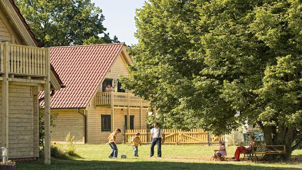 &Uuml;bersicht Kleine Viecherei, &copy; Vision Foto