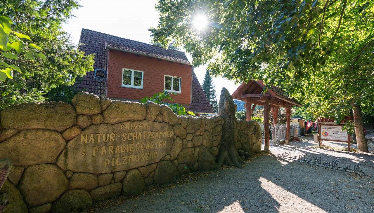 Natur-Schatzkammer, &copy; Moritz Kertzscher