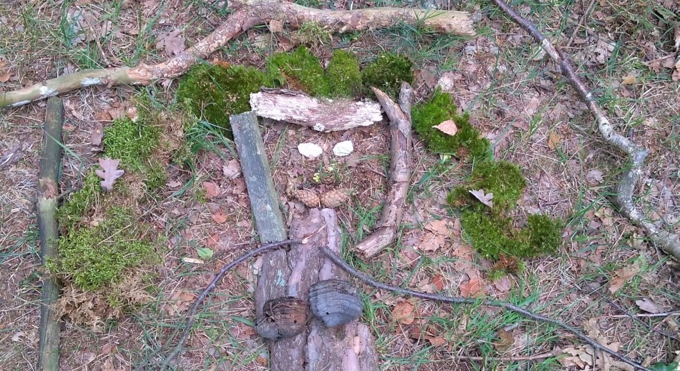 Kreatives Waldbild // © Sabine Görmar Kreatives Waldbild // © Sabine Görmar