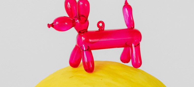 © Karola G / Pexels © Karola G / Pexels