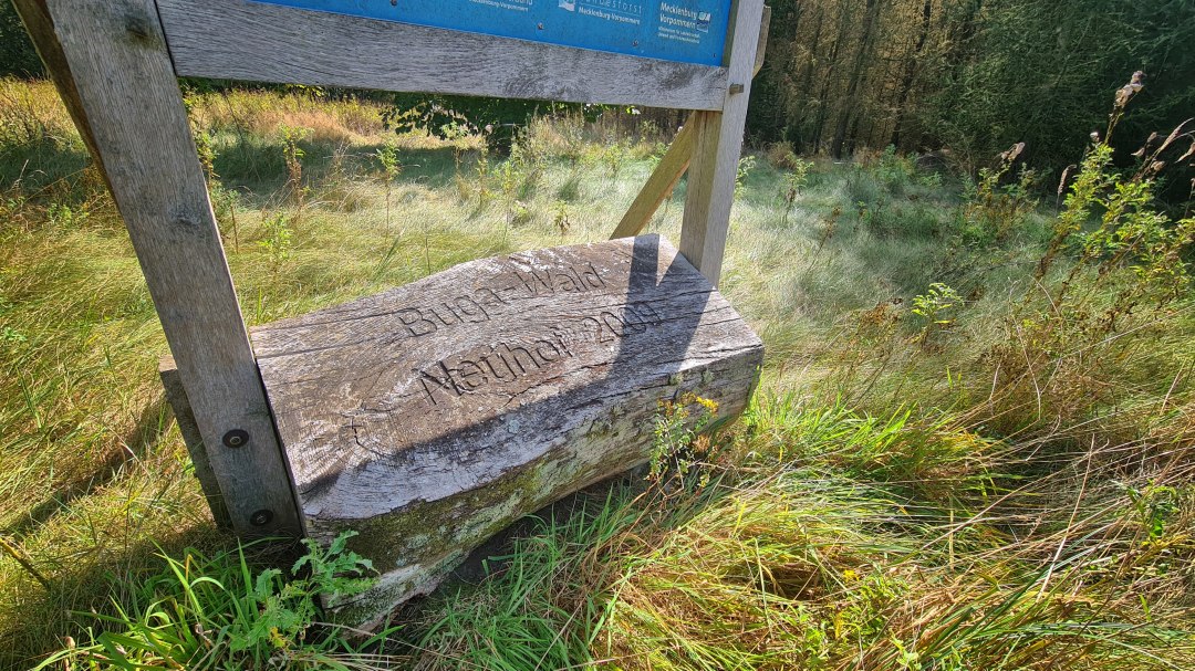 Klimawald Neuhof - Zur Bundesgartenschau 2009, © Landesforst MV