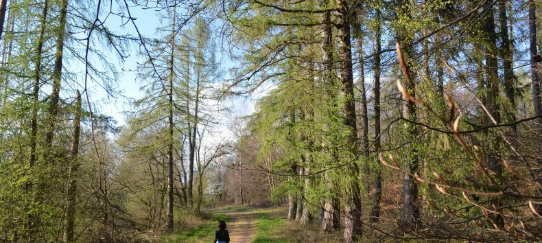 &copy; BluBonRelaXon@Pixabay