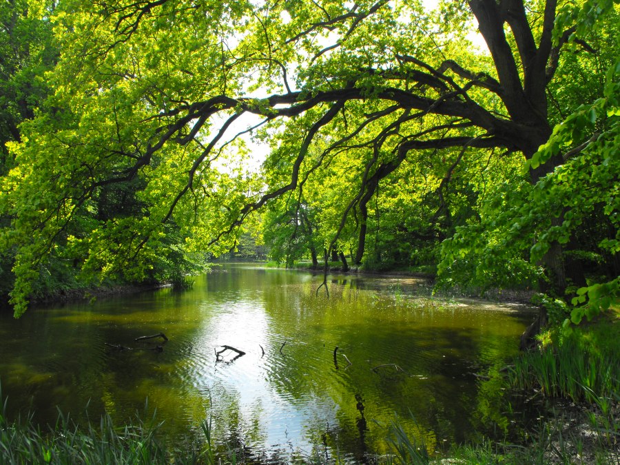 Landschaftspark in Behrenhoff, © Tourismusverband Vorpommern e.V. Landschaftspark in Behrenhoff, © Tourismusverband Vorpommern e.V.