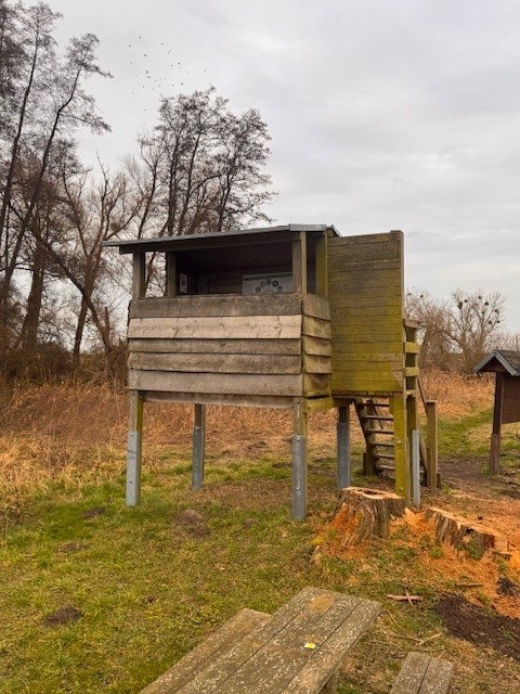 Aussichtsplattform NSG Galenbecker See, &copy; Staatliches Amt f&uuml;r Landwirtschaft und Umwelt Vorpommern