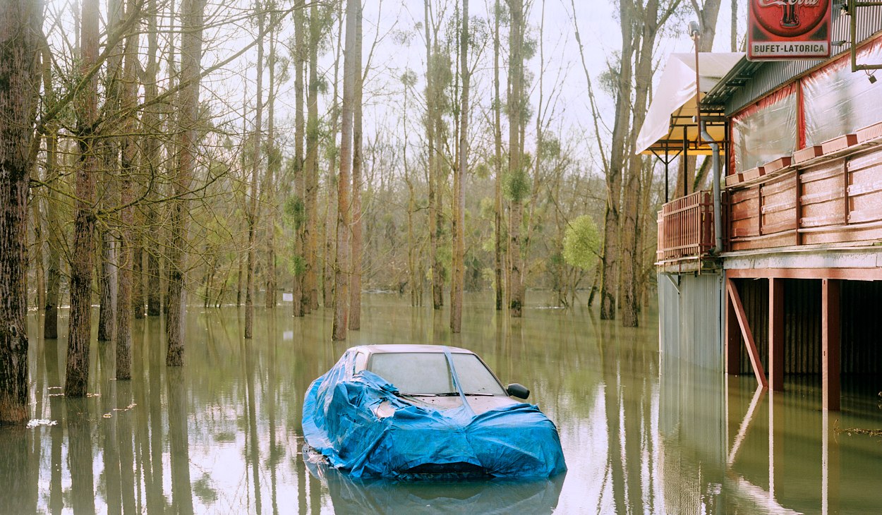Unter den Palmen, &copy; Ludwig Nikulski