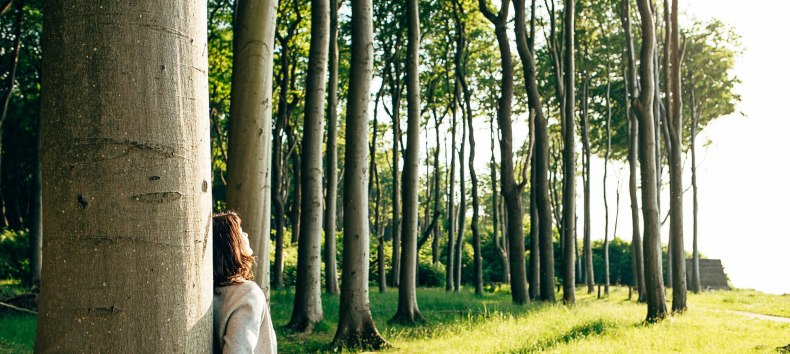 Waldbaden tut der Seele gut // &copy; MV-T/H2F