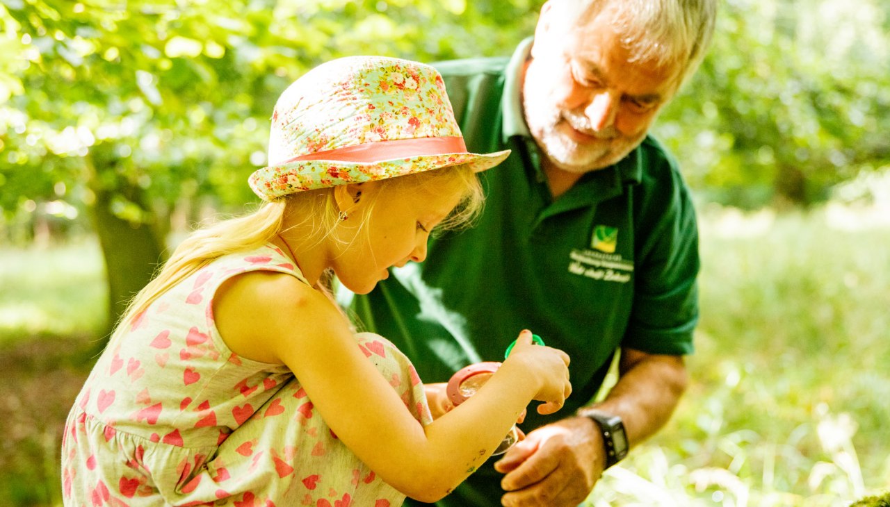 Waldpädagogik, © Landesforst MV Waldpädagogik, © Landesforst MV