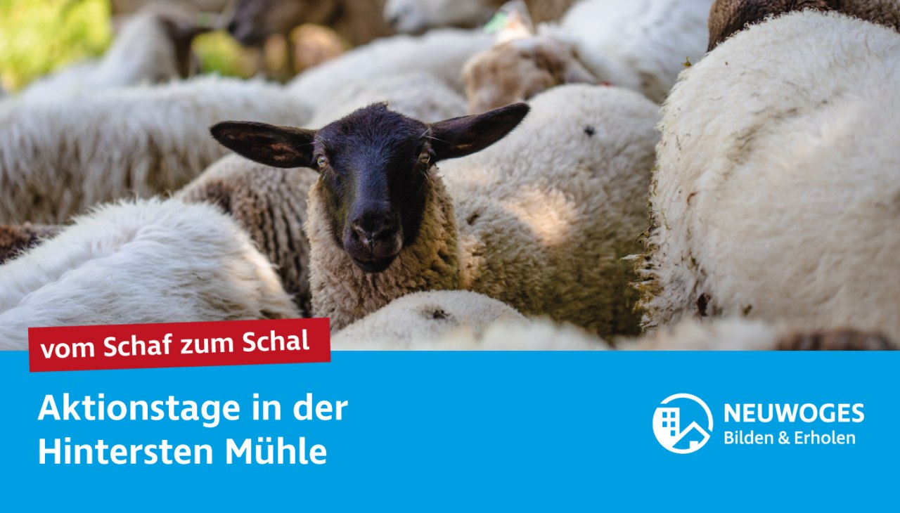 neuw-groep_extern-komen_bij_dier_huis_actie-dagen-24-van-schaap-naar-schaap, © Neuwoges neuw-groep_extern-komen_bij_dier_huis_actie-dagen-24-van-schaap-naar-schaap, © Neuwoges