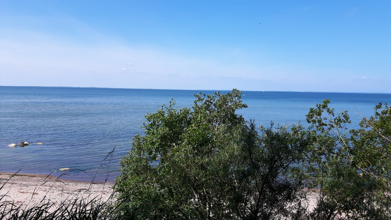 Steine und Muscheln sammeln und dabei einen tollen Blick auf die Insel Rügen // © tvv-michaelis Steine und Muscheln sammeln und dabei einen tollen Blick auf die Insel Rügen // © tvv-michaelis